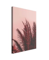 Paveikslas Palmių saulėlydis