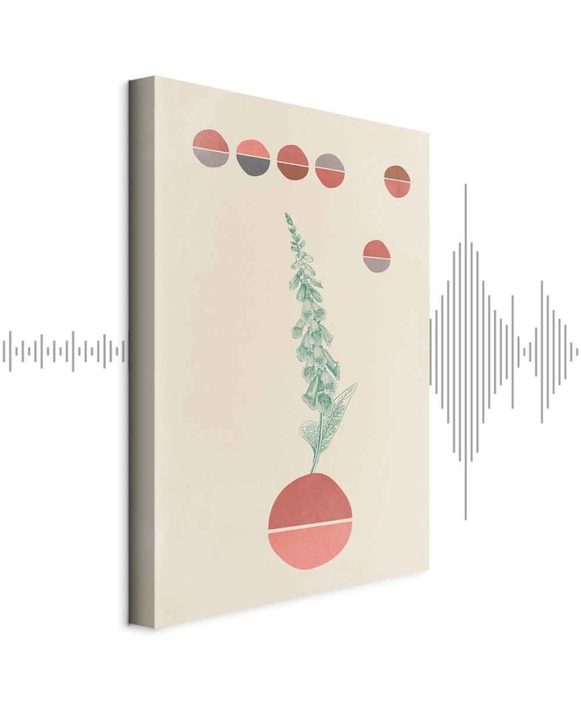 Paveikslas Kampanulės