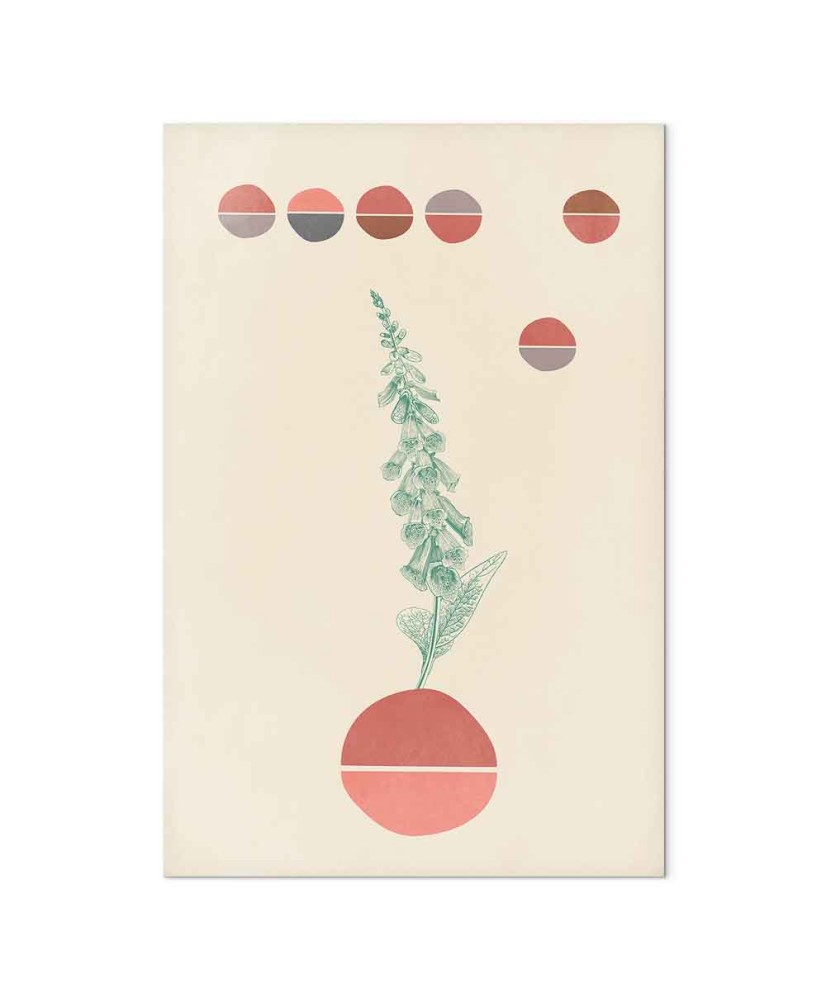 Paveikslas Kampanulės