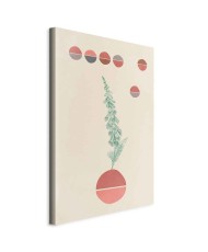 Paveikslas Kampanulės