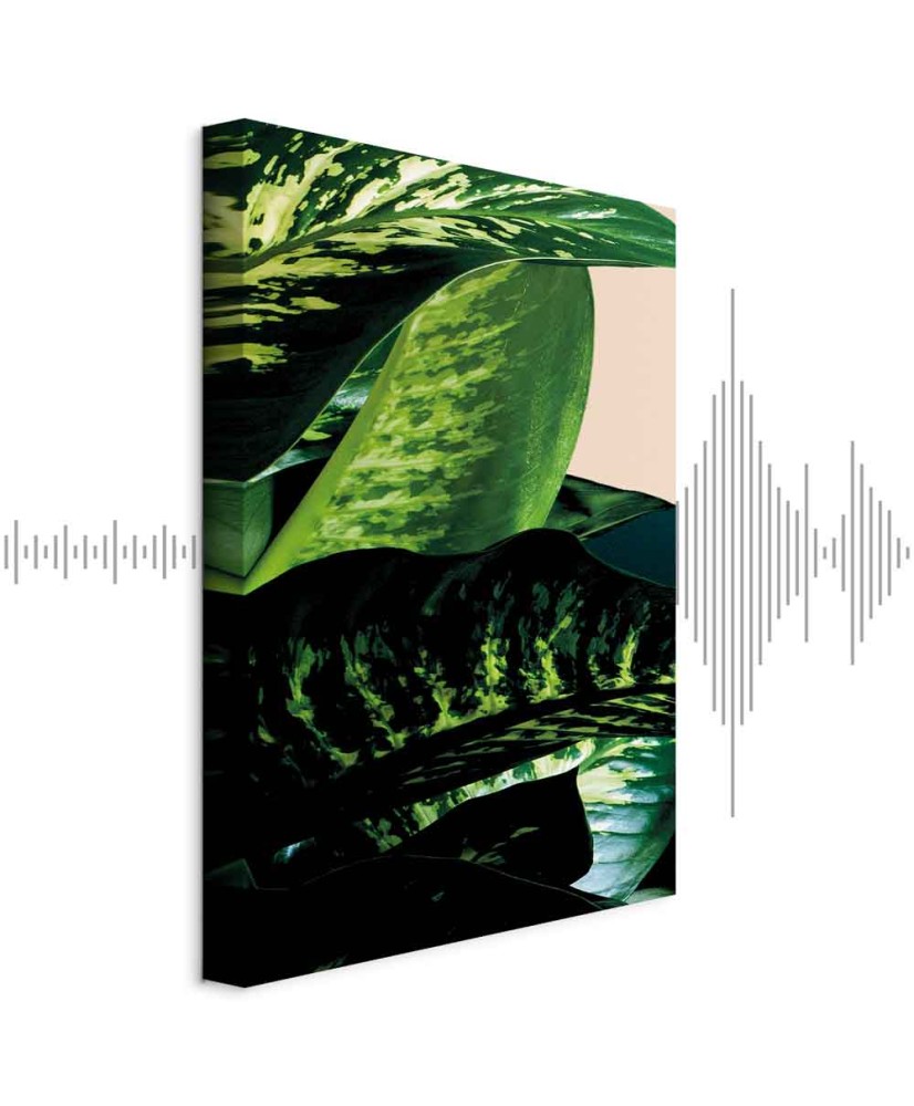 Paveikslas Dieffenbachija