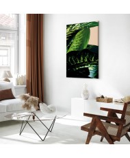 Paveikslas Dieffenbachija