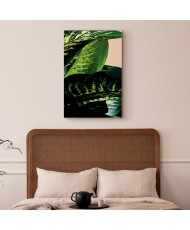 Paveikslas Dieffenbachija