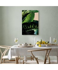 Paveikslas Dieffenbachija