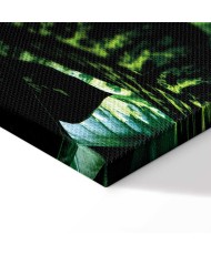 Paveikslas Dieffenbachija