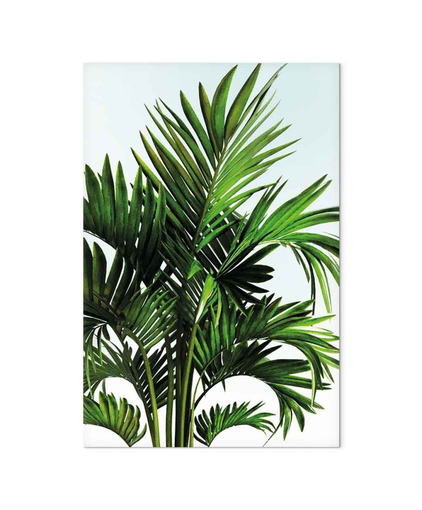 Paveikslas Tuniso atostogos