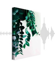 Paveikslas Koralų gamta