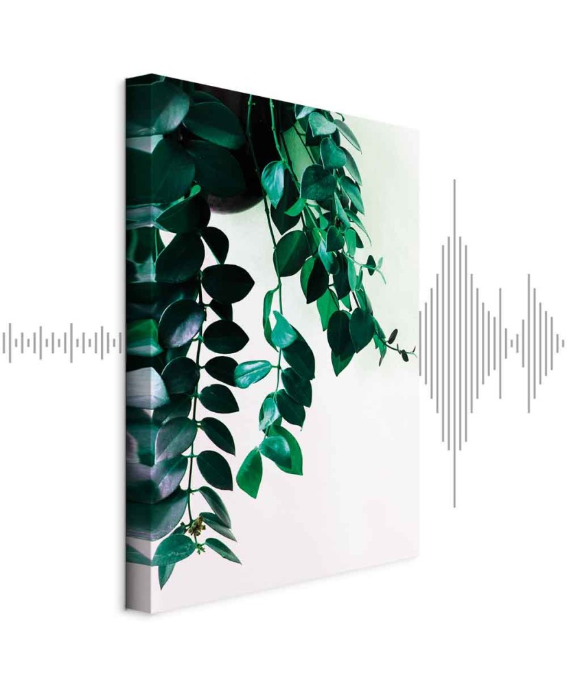 Paveikslas Koralų gamta