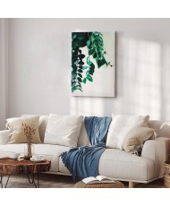 Paveikslas Koralų gamta