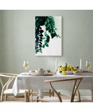 Paveikslas Koralų gamta