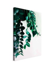 Paveikslas Koralų gamta