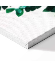 Paveikslas Koralų gamta