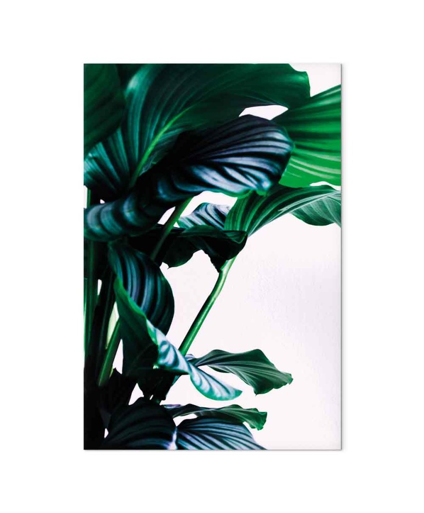 Paveikslas Pavasariniai lapai