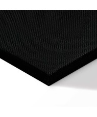 Paveikslas Paparčio magija