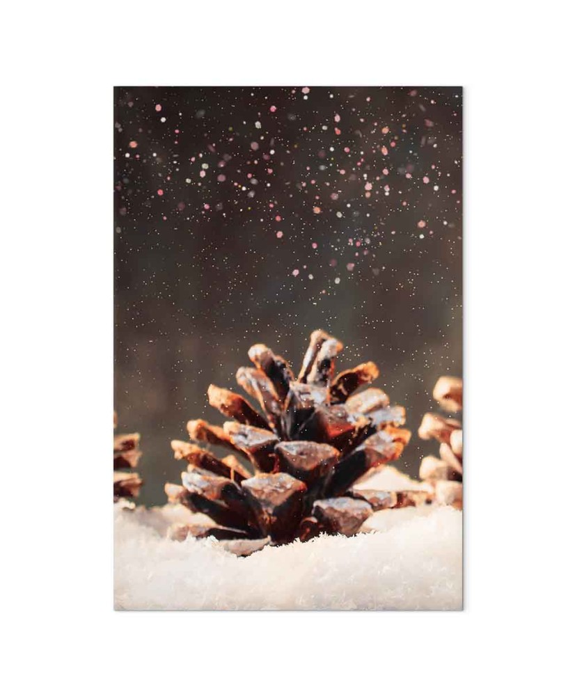 Paveikslas Žiemos kankorėžis