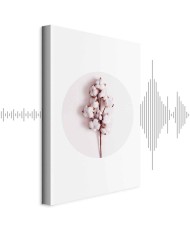 Paveikslas Švelni medvilnė