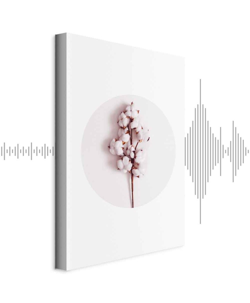 Paveikslas Švelni medvilnė