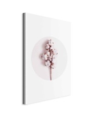 Paveikslas Švelni medvilnė