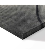 Paveikslas Švytinčios šakos