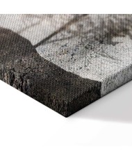 Paveikslas Simbiozė su gamta