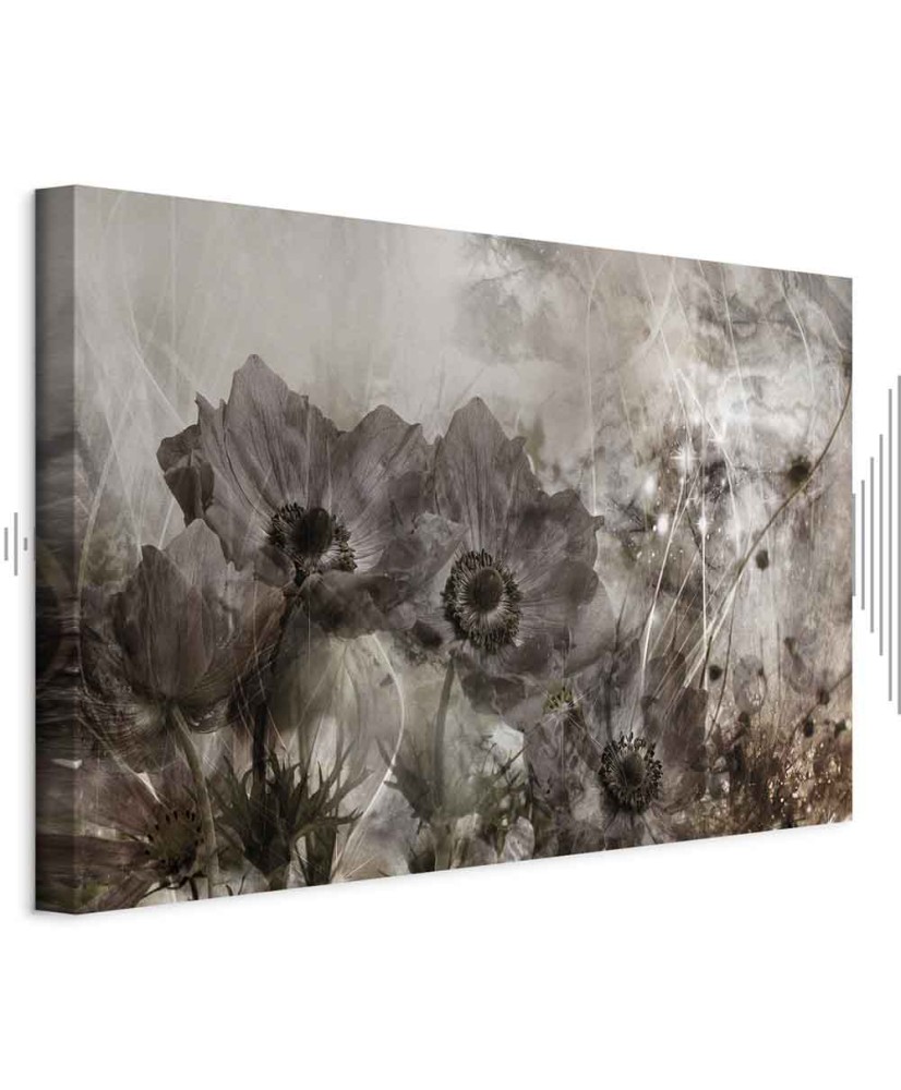 Paveikslas Anemonės sepijoje