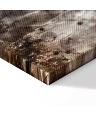 Paveikslas Anemonės sepijoje