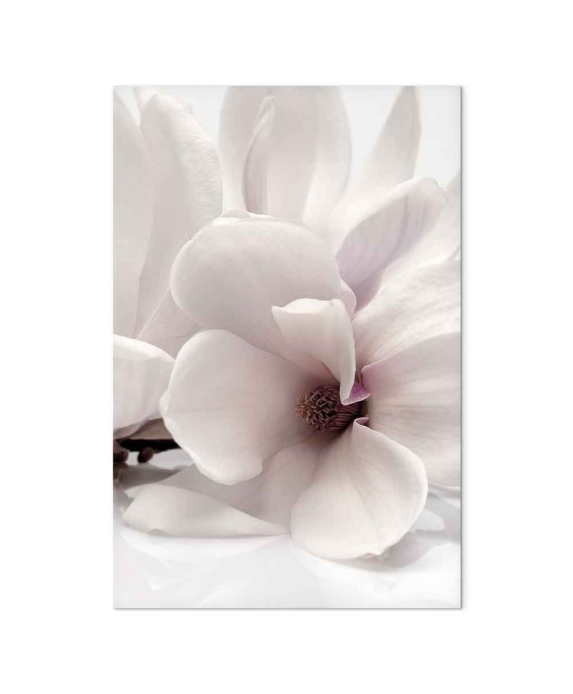 Paveikslas Žydinti šviesa