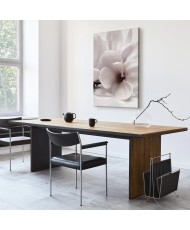 Paveikslas Žydinti šviesa