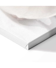 Paveikslas Žydinti šviesa