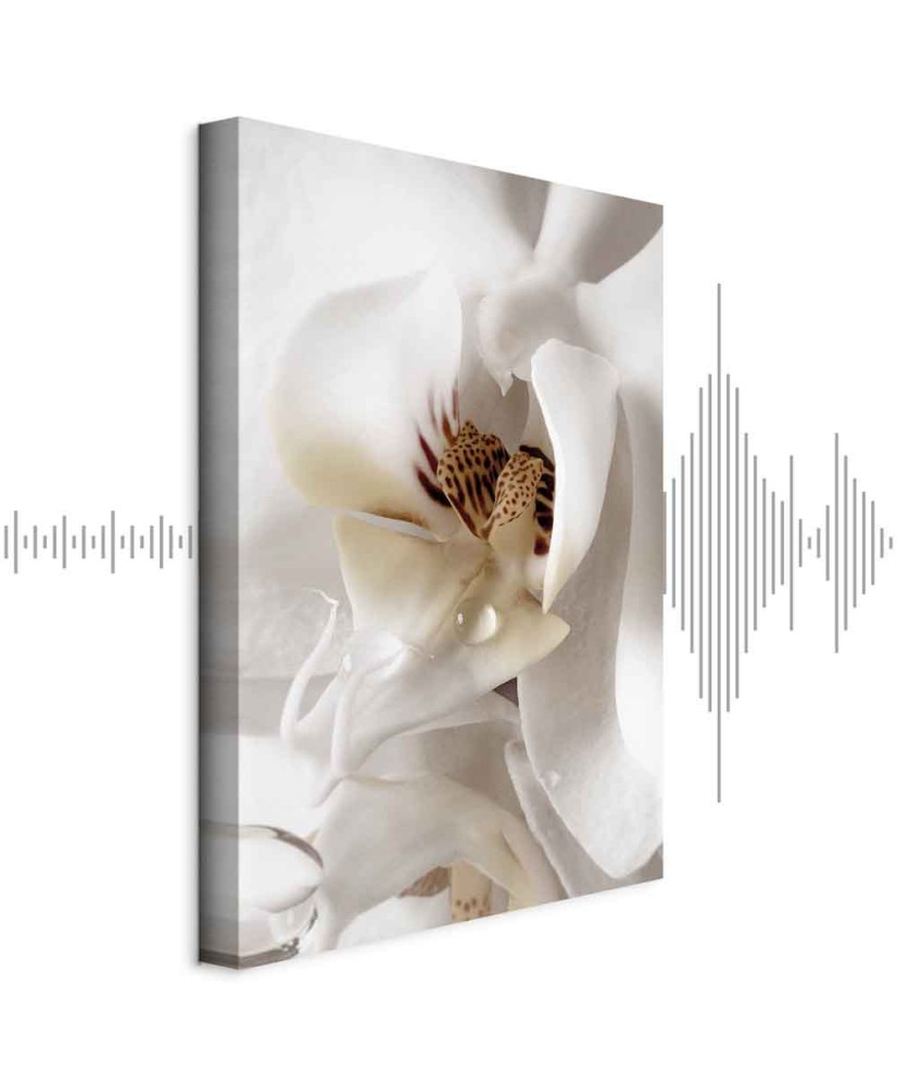 Paveikslas Krintantys sapnai