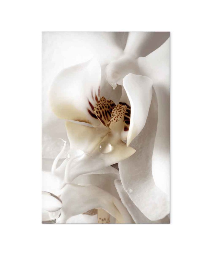 Paveikslas Krintantys sapnai