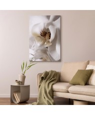 Paveikslas Krintantys sapnai