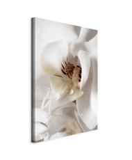 Paveikslas Krintantys sapnai