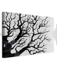 Paveikslas Šalta gamta