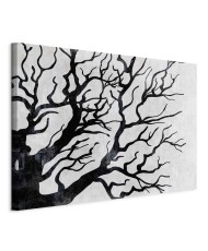 Paveikslas Šalta gamta