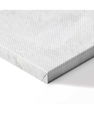 Paveikslas Šalta gamta