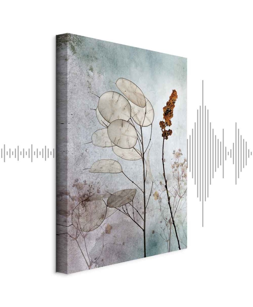 Paveikslas Miglota lunaria