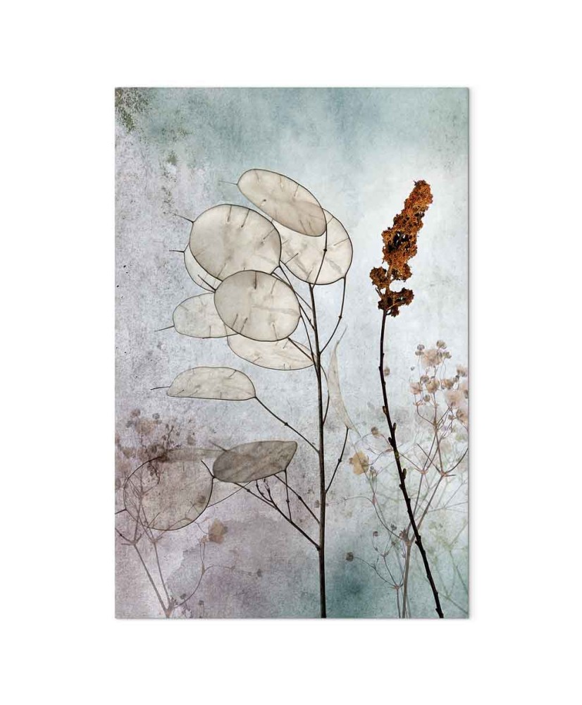 Paveikslas Miglota lunaria