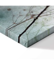 Paveikslas Miglota lunaria