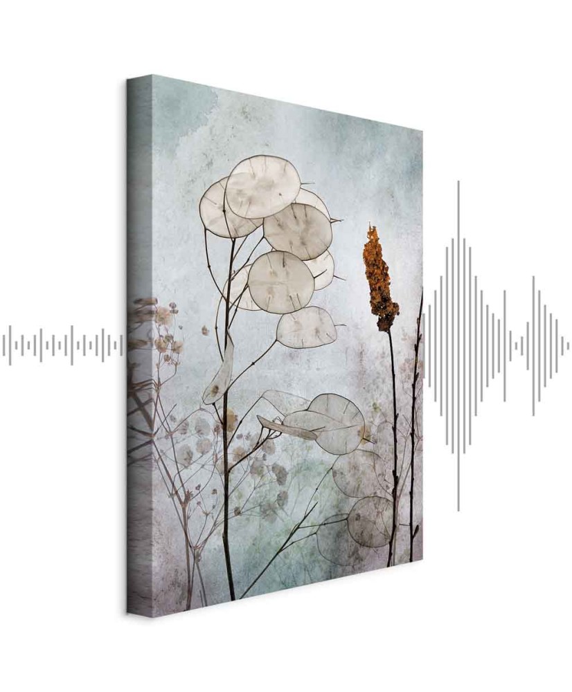 Paveikslas Lunaria vaisiai