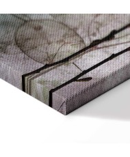 Paveikslas Lunaria vaisiai