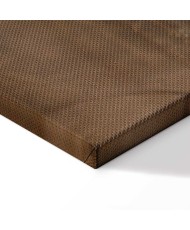 Paveikslas Auksinės kiaulpienės