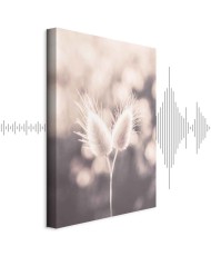 Paveikslas Žemės švelnumas