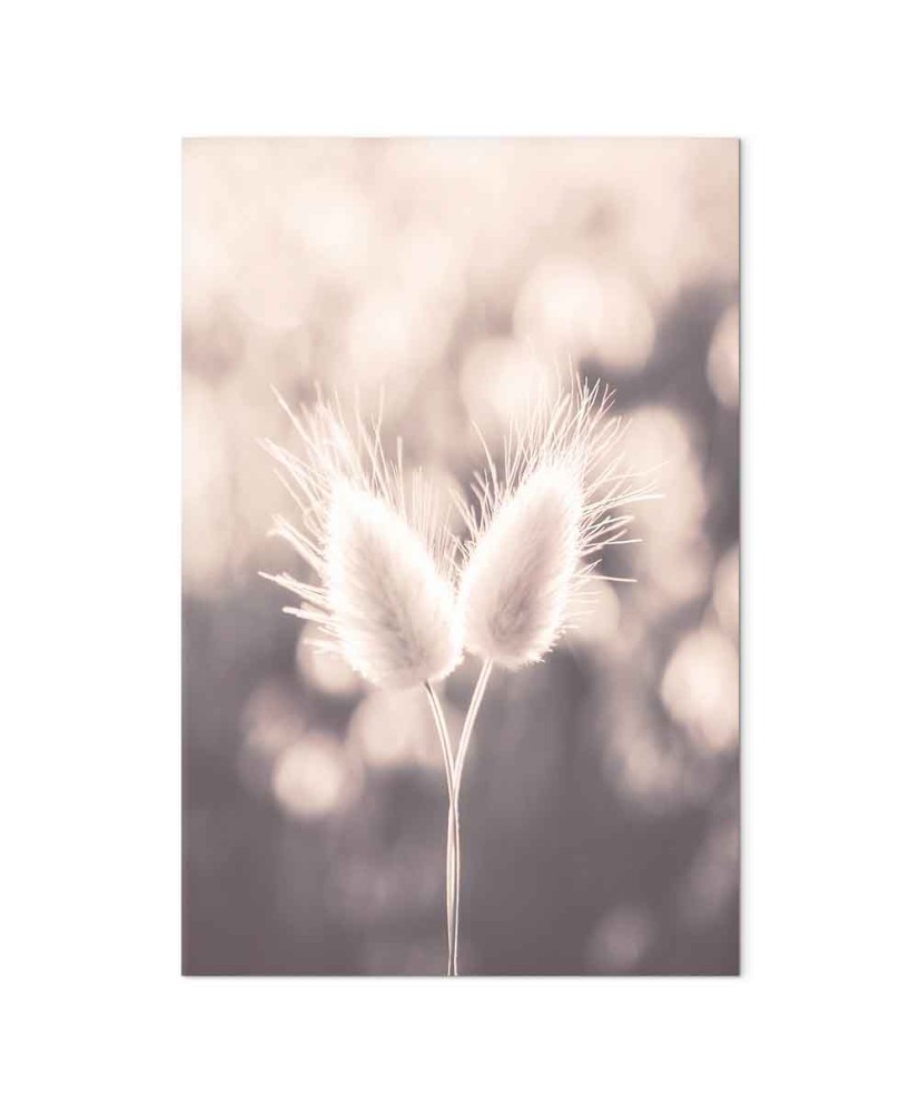 Paveikslas Žemės švelnumas