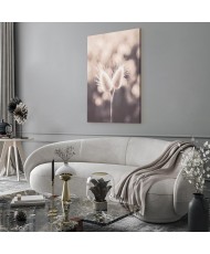 Paveikslas Žemės švelnumas