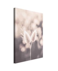 Paveikslas Žemės švelnumas