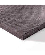 Paveikslas Žemės švelnumas