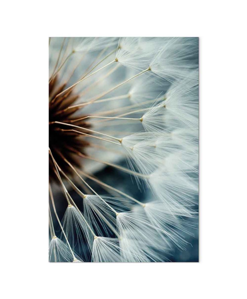 Paveikslas Daugiau prisiminimų