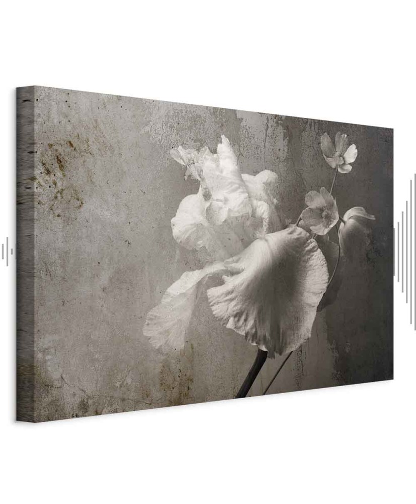 Paveikslas Venecijos didybė