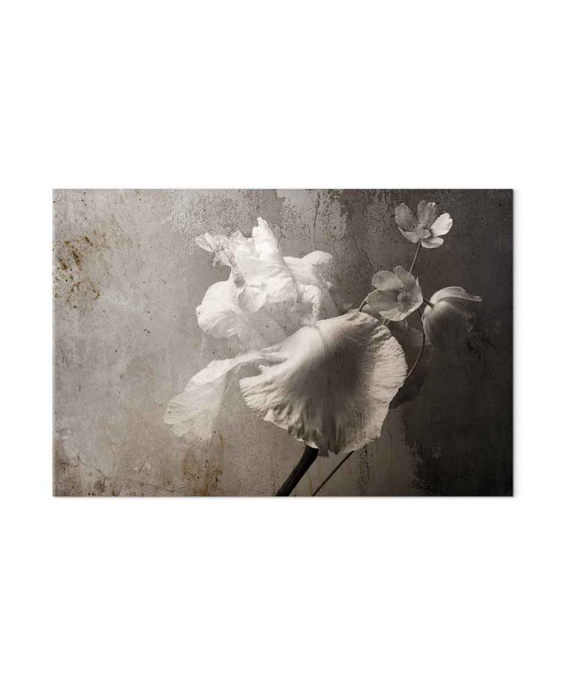 Paveikslas Venecijos didybė